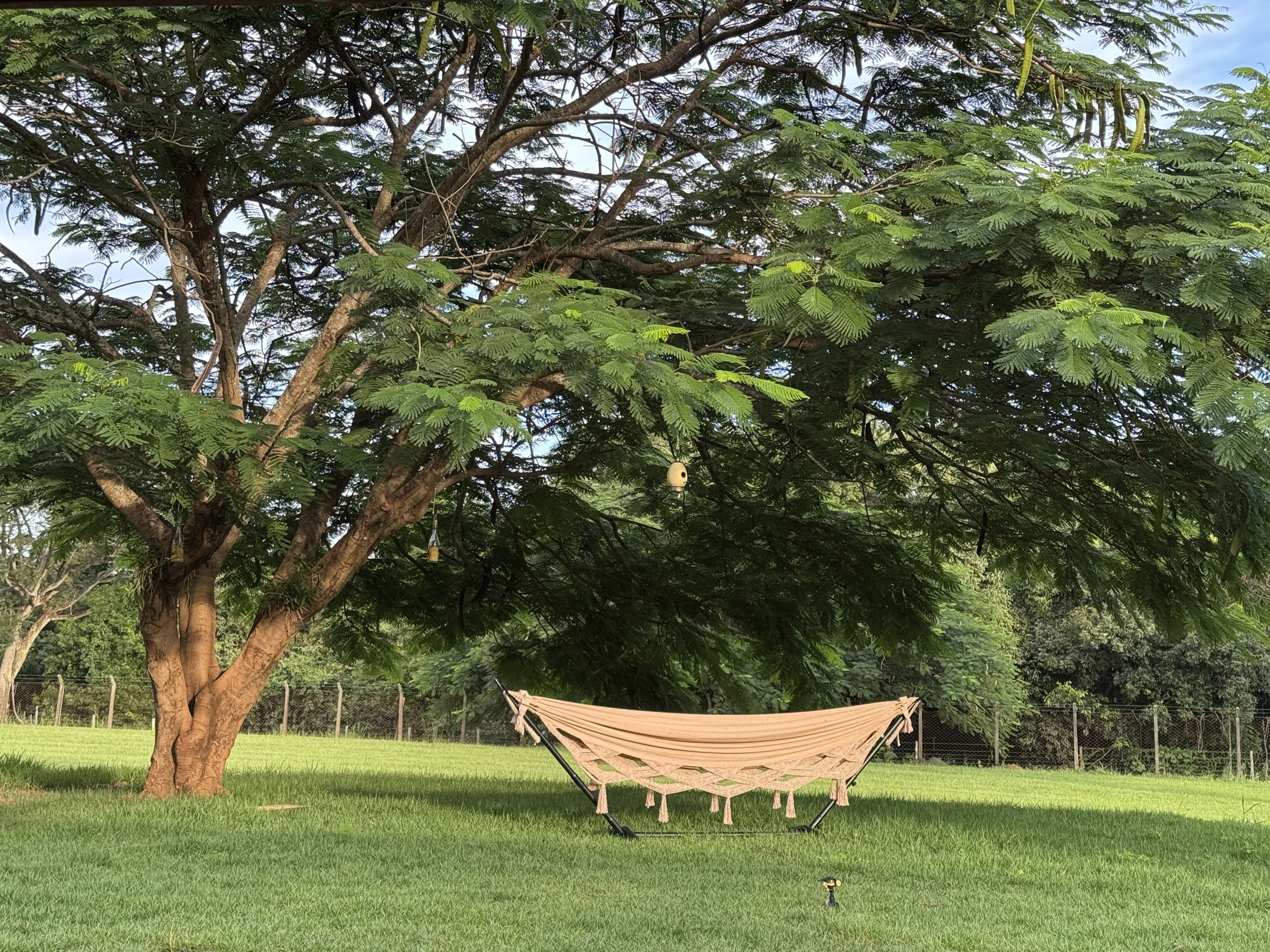 Vista Panorâmica